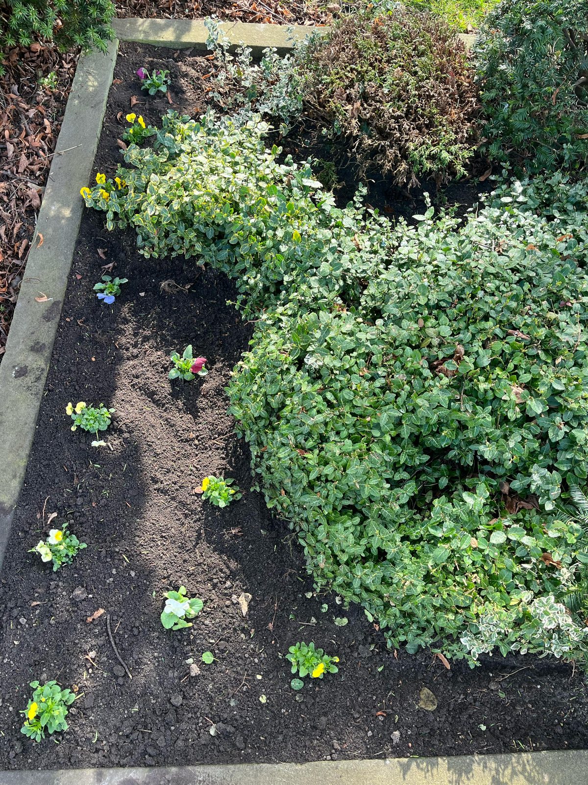 Grünpflege